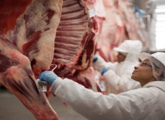 EXPORTAÇÃO DE CARNE BOVINA SOBEM EM VOLUME E RECEITA EM MARÇO