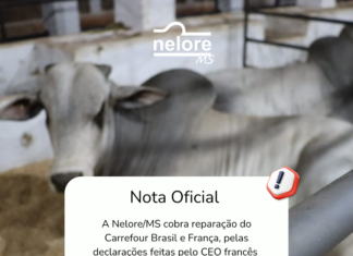 Nota Oficial, Nelore/MS cobra reparação do Carrefour Brasil e França A Associação Sul-Mato-Grossense dos Criadores de Nelore – Nelore/MS, repudia a declaração infundada do CEO do Grupo Carrefour