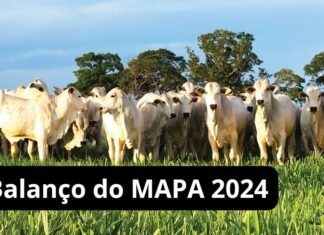 Em retrospectiva, Mapa garante a qualidade e a segurança dos produtos agropecuários brasileiros Atuação da Secretaria de Defesa Agropecuária permitiu a comercialização de produtos seguros e de excelência para o mercado interno e externo