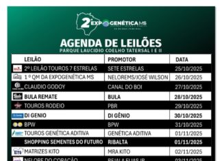 Expogenética MS 2025 anuncia agenda oficial de leilões com grandes nomes da pecuária nacional