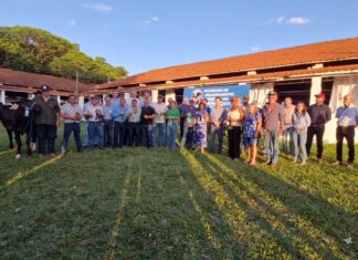 Entrega de matrizes Girolando marca avanço do ProLeite em Mato Grosso do Sul 27 produtores foram beneficiados durante cerimônia na Expogenética MS 2025