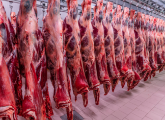 Vietnã habilita mais quatro frigoríficos brasileiros para exportar carne bovina