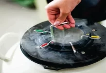 Mercado de genética bovina vive momento de retomada