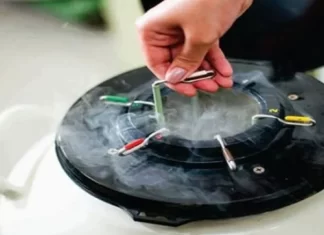 Mercado de genética bovina vive momento de retomada