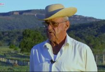 Nota de pesar – Nelore-MS, faleceu “Chico Ventania” pioneiro da introdução e difusão da raça Nelore em Mato Grosso do Sul
