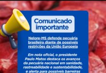 Nelore-MS defende pecuária brasileira diante de possíveis restrições da União Europeia