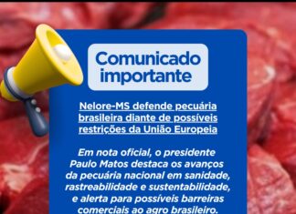 Nelore-MS defende pecuária brasileira diante de possíveis restrições da União Europeia