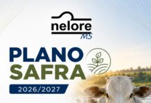 Plano Safra 2026/2027 disponibiliza R$ 525,1 bilhões para impulsionar a agropecuária