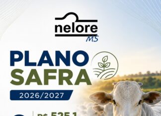 Plano Safra 2026/2027 disponibiliza R$ 525,1 bilhões para impulsionar a agropecuária