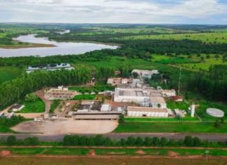 Quase 100 plantas frigoríficas brasileiras miram o mercado de carne bovina do Vietnã Sulbeef em Aparecida do Taboado (MS) foi habilitada recentemente