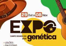 Expogenética MS 2026 amplia programação e confirma atrações musicais; ingressos já estão à venda